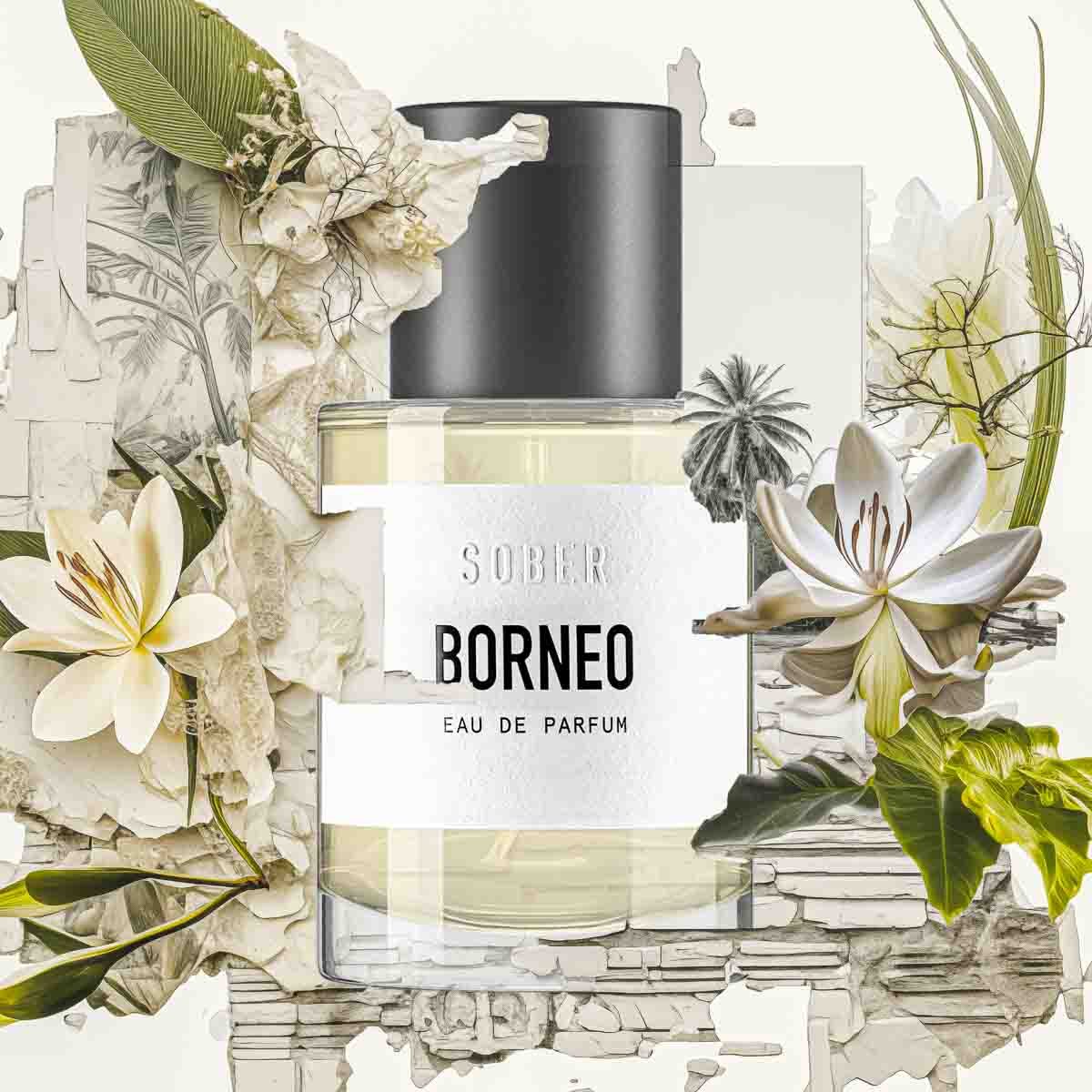 BORNEO - Eau de Parfum - MonKoku