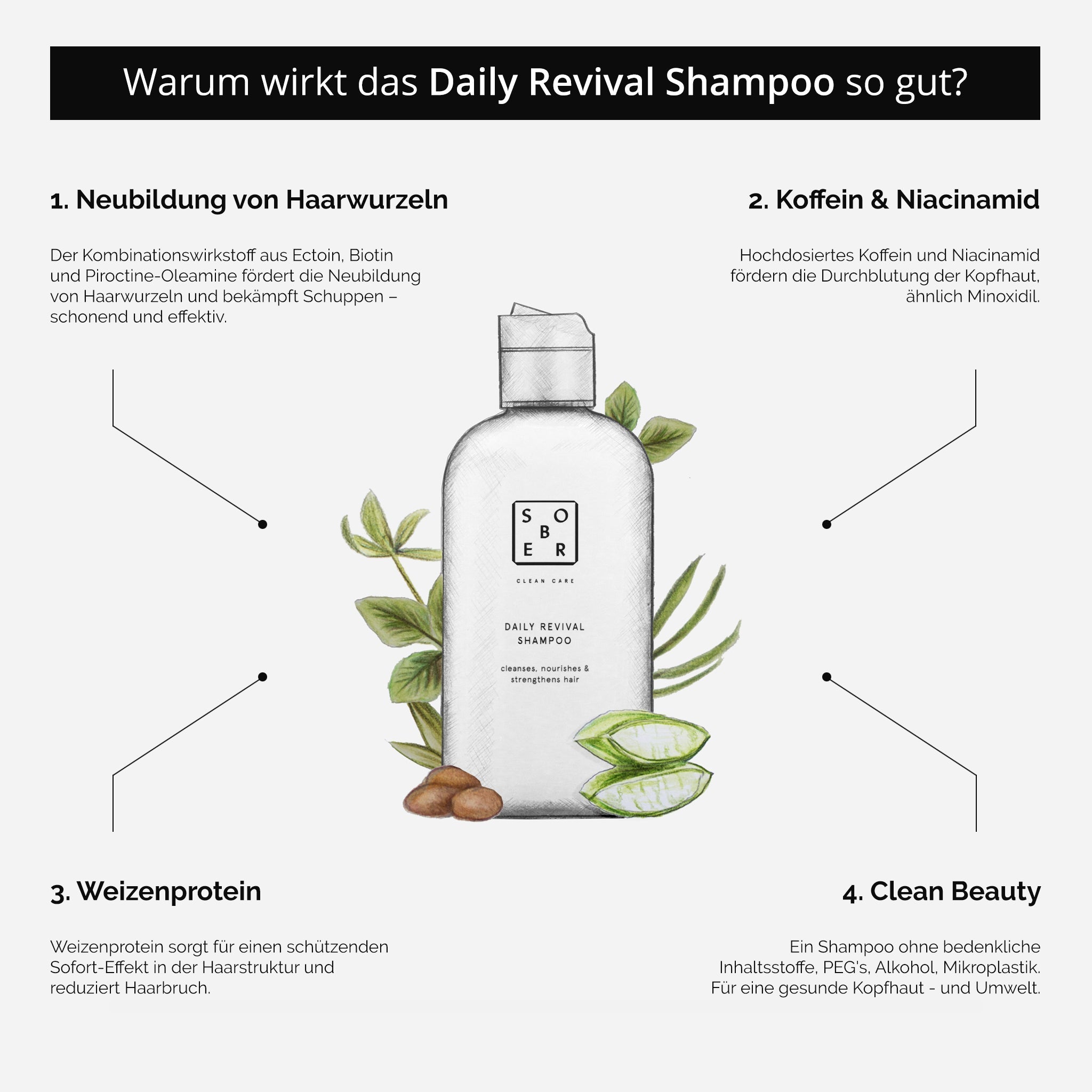 Daily Revival Shampoo - MonKoku