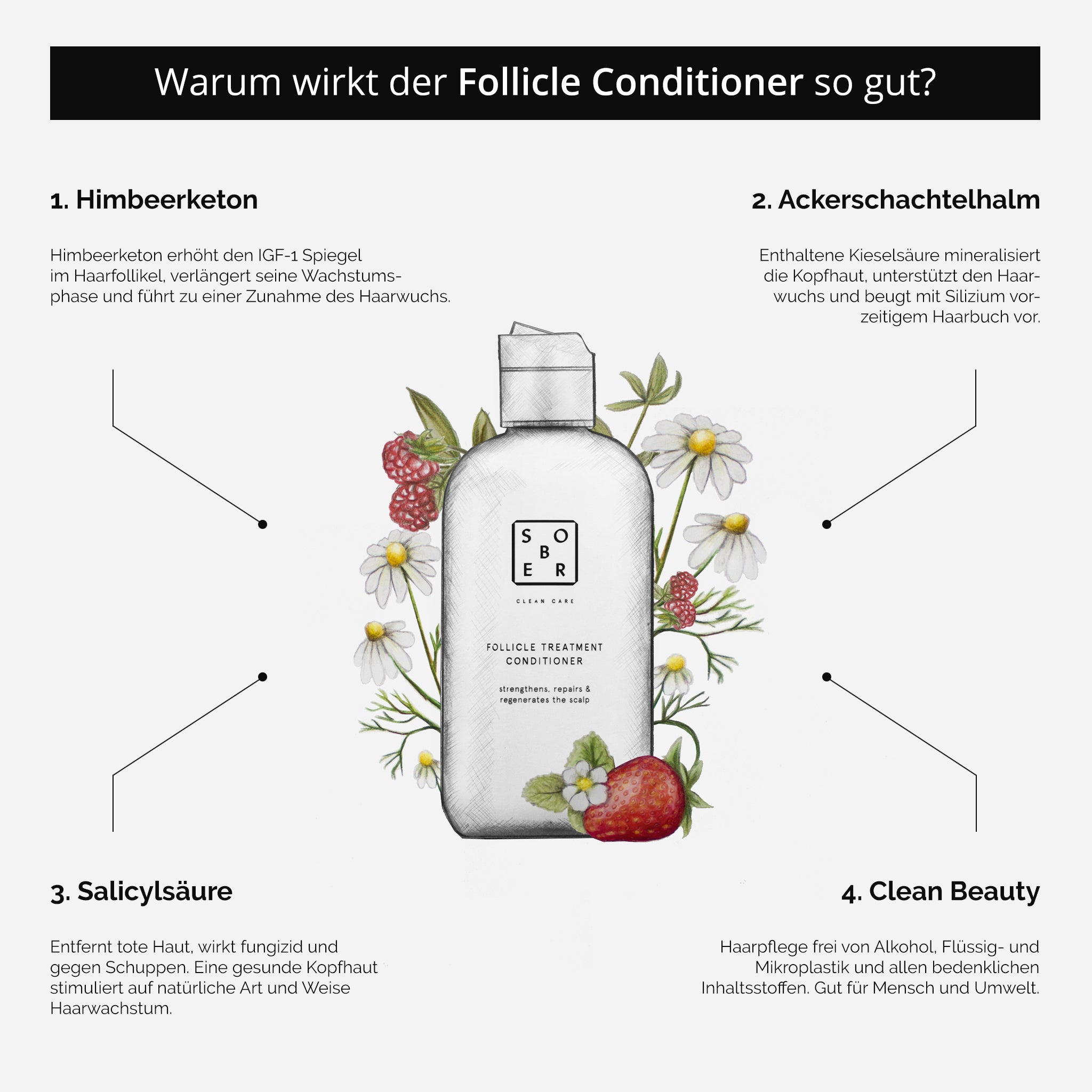 Follicle Treatment Conditioner Anti - Haarausfall Kur - MonKoku